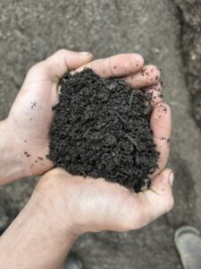 Soils and Mulch